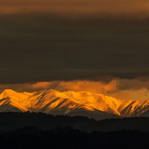 taller fotografia a la natura