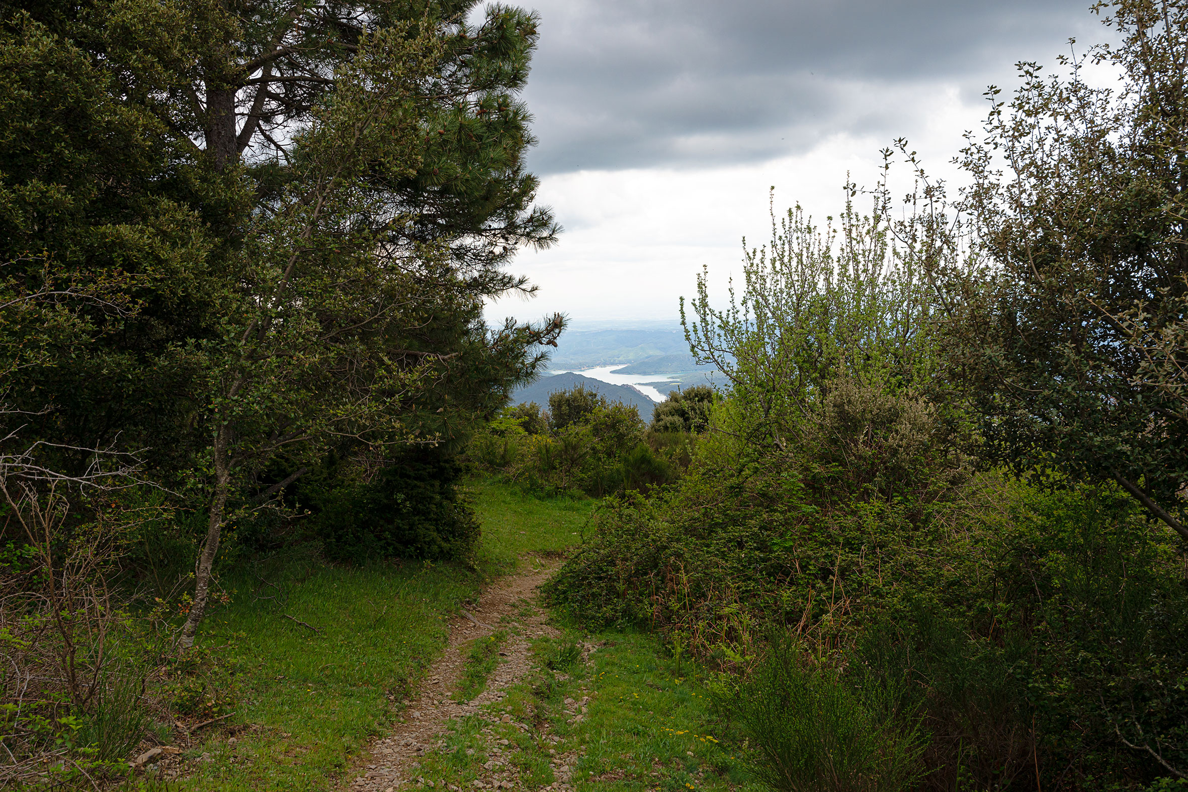 excursion en la naturaleza enlace gr11 amb gr10