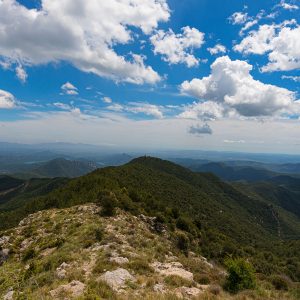 excursió a la natura Serra Bac Grillera