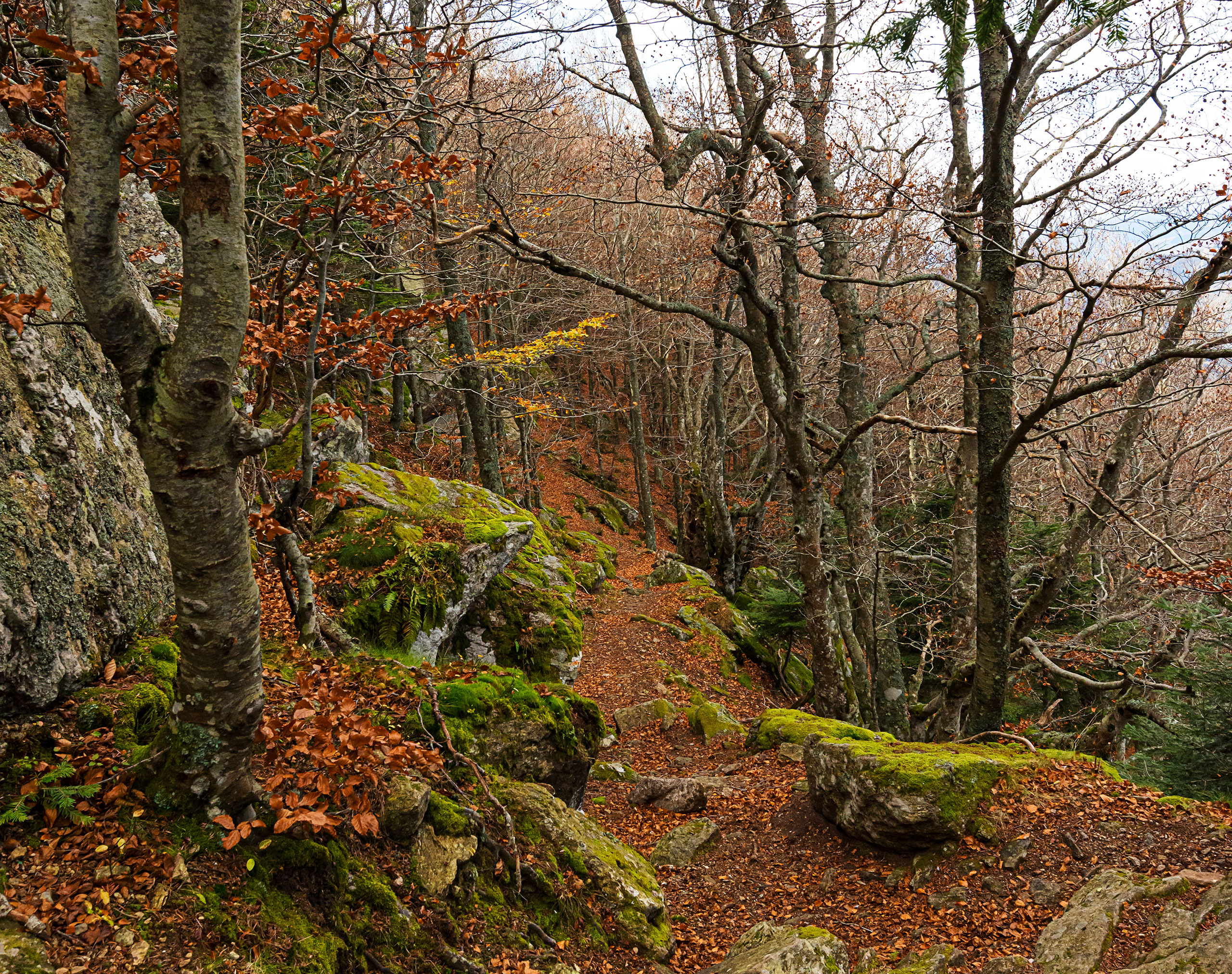 excursions de trekking a Girona